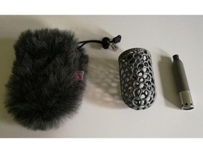 Voronoi stil mikrofon ön cam iskelet pop filtre Rycote 3d print model - Mito3D