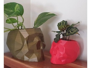 geometric skull pot drainage flower geometrical human planter plant skulls 3d print model - Mito3D