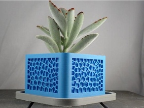 Voronoi ekici kaktüsler kaktüs tencere yetiştiriciler sulu meyveler tasarım stil 3d print model - Mito3D