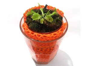 voronoi planter glass aquarium decoration coral deco garden indoor pot outdoor plant planters venus fly trap 3d print model - Mito3D