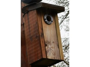 bird nest box hole protector birdhouse blmes bluetit greattit talgoxe 3d print model - Mito3D