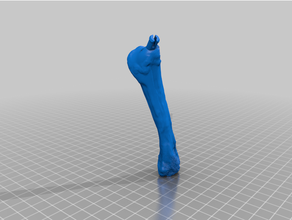 stégosaure squelette séparé jambe colonne vertébrale queue 3d print model - Mito3D