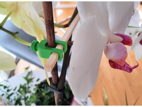 orchid plant holder garden 3d print model - Mito3D