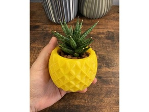 pineapple pot hydroculture plants planter plant watering 3d print model - Mito3D