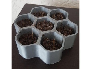 medium seed starter honeycomb 3d printing ender 3 enginerging fast fun grow pla seedlings seeds 3d print model - Mito3D