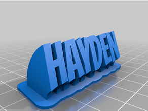 customizedhayden-bangers-smiley sweeping 2-line plate text customized 3d print model - Mito3D