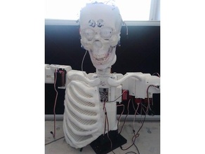 dara robot ribcage chest inmoov arm face head modifications neck 3d print model - Mito3D