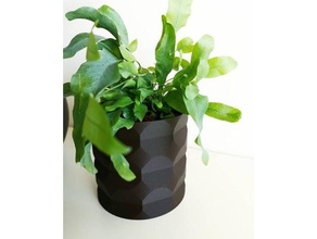 Blume Topf Vase 3d print model - Mito3D