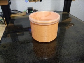 customizable container pringles lid 3d print model - Mito3D
