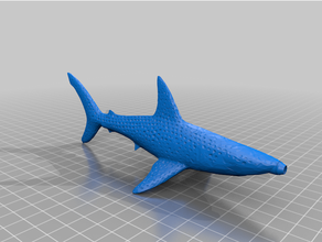squalo penna bic pesce oceano 3d print model - Mito3D