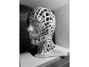 cabeça anismo arte haed esculturas 3d print model - Mito3D