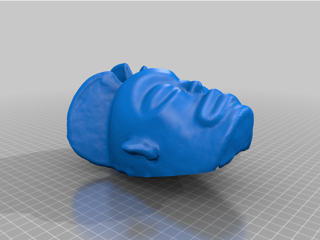 scansione tete maschera 3D print model - Mito3D