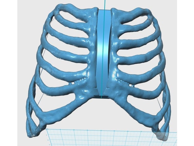 Dara robot torax Inmoov göğüs değişiklikler 3D print model - Mito3D