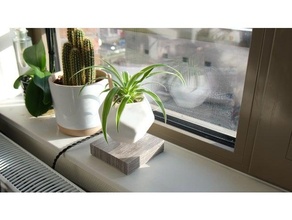 levetating plant pot cactus planter levitating nosupport support plants 3d print model - Mito3D