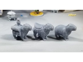 capybara companions 28mm heroic animal beast burden dnd dungeons dragons scale mammal miniature miniatures mount pack pathfinder rodent rodentia rpg tabletop wargaming 3d print model - Mito3D