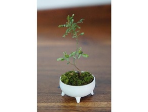 japonês estilo rega mini bonsai Panela jardinagem miniatura minipote enfeite plantador plantas zen 3d print model - Mito3D