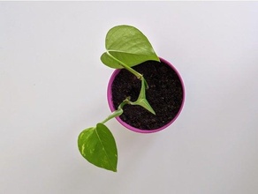 plantador 01 jardinagem plantadores Panela rega 3d print model - Mito3D