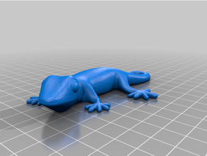 boucle queue gecko aimant trous prime sorcier chapeau 3d print model - Mito3D