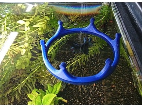 fish feeding ring - crown design 3d print model - Mito3D
