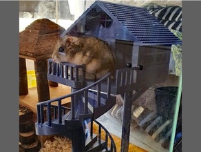 Zwerg Hamster Haus Tier schick Gehäuse Haustier Treppe 3d print model - Mito3D