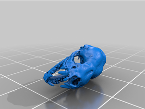 yarasa kafatası 3d print model - Mito3D