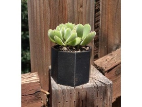octagonal planter flower pot simple succulents 3d print model - Mito3D