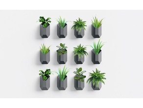 ruby - indoor outdoor wall hanging planter plant planters pot plants 3d print model - Mito3D
