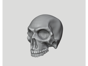 humano crânio imprimível 3d print model - Mito3D