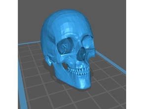 ellpro skull anatomy body bone dead halloween skeleton head horror human scary spooky spoopy 3d print model - Mito3D