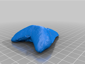 tiburón diente colgante pendiente 3d print model - Mito3D
