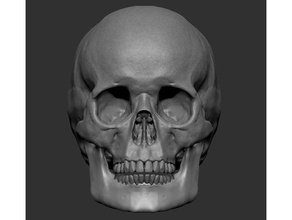 humano crânio simétrico ossos gótico esqueleto dentes 3d print model - Mito3D