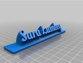 saramy personalizzato spazzare piatto remixare 3d print model - Mito3D