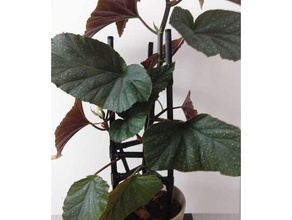 planta maceta apoyo flores tze flor blumen caja blumentopf ayuda escalar pflanzen plantador plantas 3d print model - Mito3D