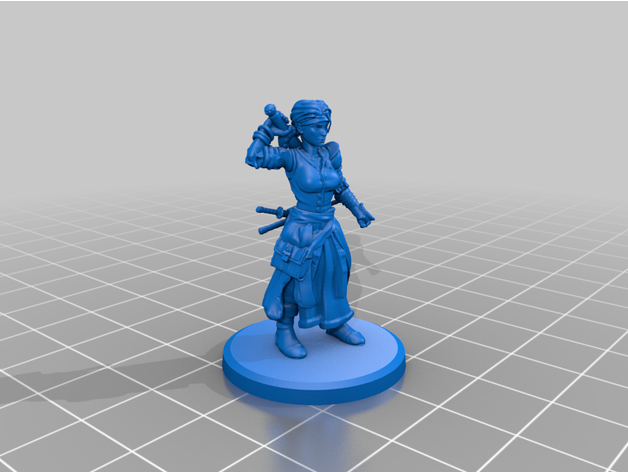 kadın korsanlar korsan kuruş 25mm dnd minyatür Zindanlar ejderhalar mini Hanım 28mm kırbaçcı masaüstü 3D print model - Mito3D