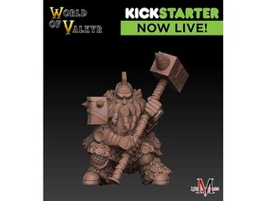 giant dwarf valkyr 3d print model - Mito3D