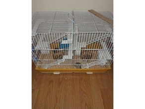 merdiven para hamster fare Evcil Hayvan birazdan 3d print model - Mito3D