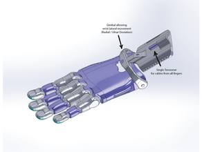 cathy fortunato fin v2 protesica mano Bowden push pull variante 3d nable meccanico stampabile protesi 3d print model - Mito3D