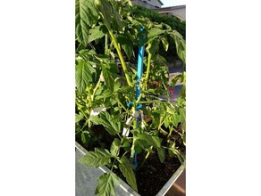 guide rods cherry tomatoes dipstick garden gua tomato orchard palo tomates vegetable vegetables 3d print model - Mito3D