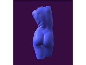 azul Venus 3d printing Arte decoración escultura 3d print model - Mito3D