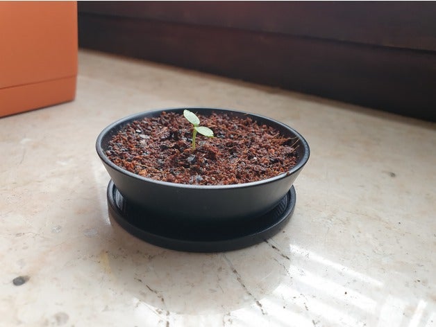 bonsai nursery pot 3D print model - Mito3D