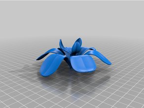 California iris flor 3d impresión openscad 3d print model - Mito3D
