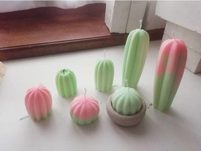 cactus collezione candele pianta piante grasse 3d print model - Mito3D