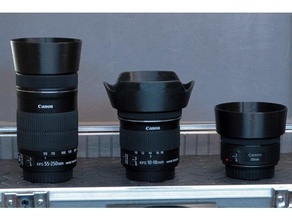 canon DSLR lentille hottes caméra capuche 3d print model - Mito3D