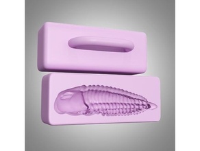 Trilobiten Sand Schimmel 3d print model - Mito3D