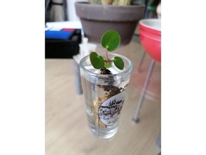 baby plant holder grow growing stekken 3d print model - Mito3D