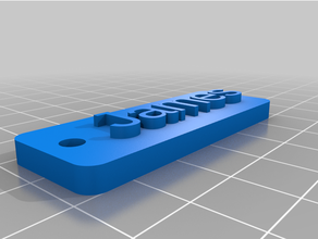 personalizado anti spam keychain 3d print model - Mito3D