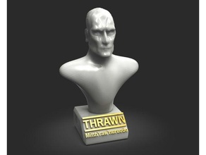 Thrawn rebeldes busto grandioso almirante estrella guerras 3d print model - Mito3D