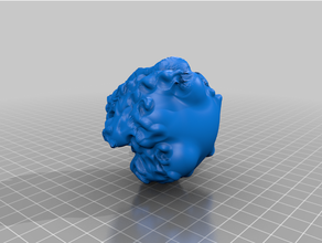 head 3d print model - Mito3D