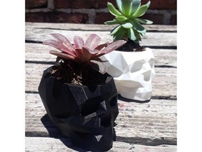 poly skull pot flower vase holder pencil pen cup 3d print model - Mito3D