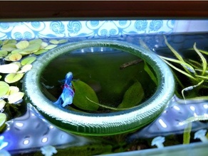 flutuando peixe alimentando anel betta tanque 3d print model - Mito3D